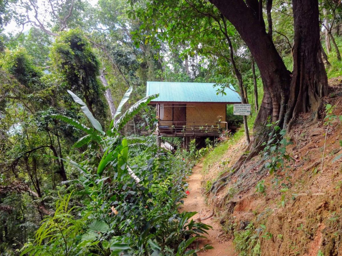 Camp Talusi Hilltop Overlooking Campsite